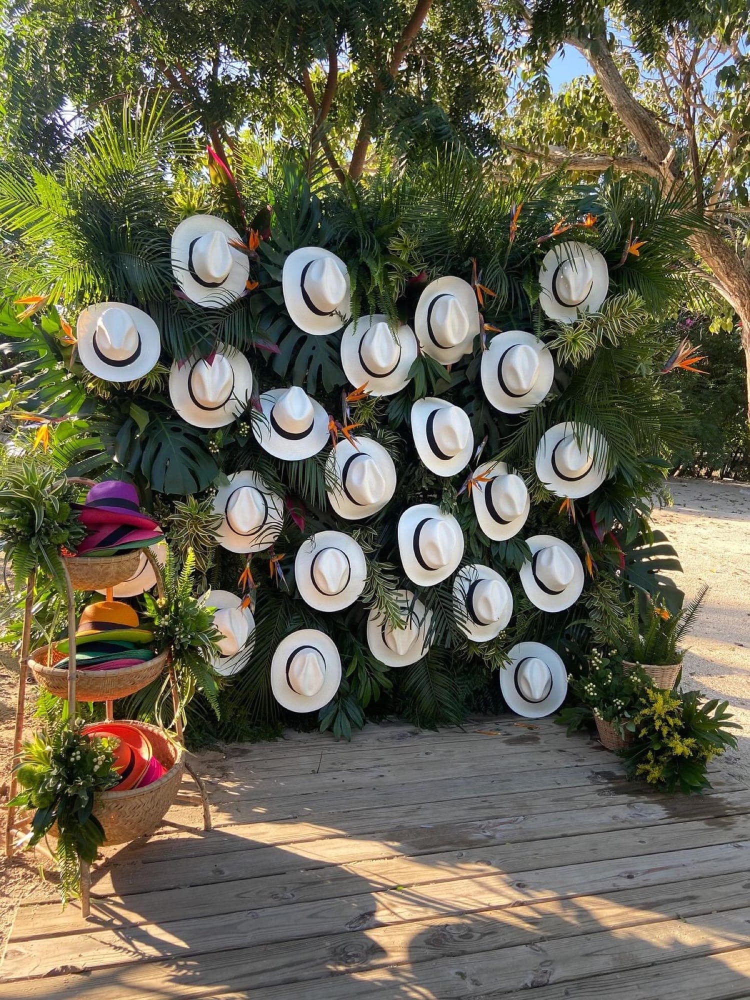 Tropical Rhapsody